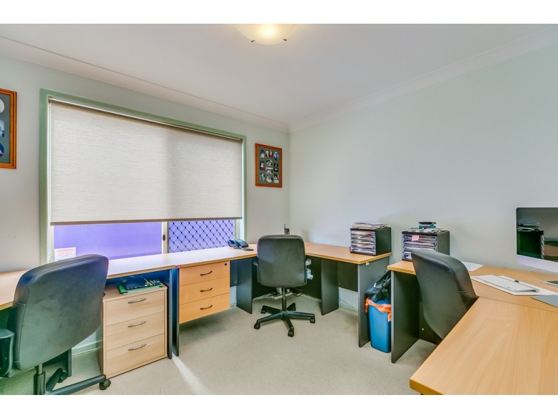 59 Mary Pleasant Drive, Birkdale QLD 4159