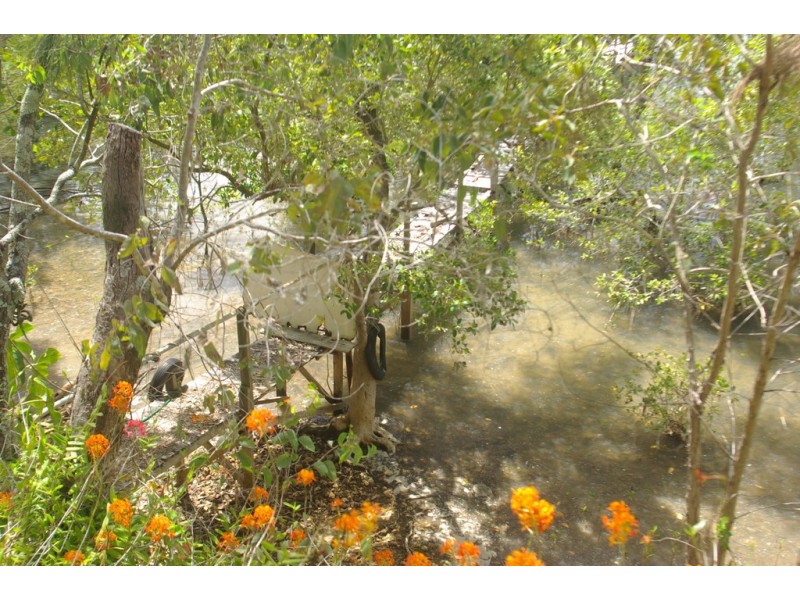 44 Goodsell Crescent, Lamb Island QLD 4184