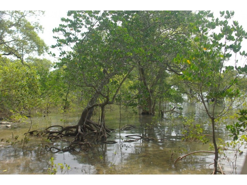 44 Goodsell Crescent, Lamb Island QLD 4184