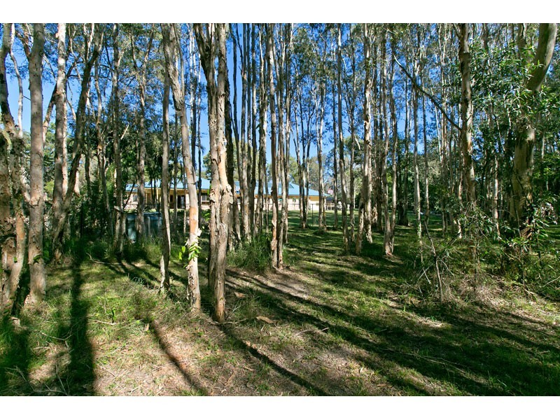 18 Korsman Drive, Thornlands QLD 4164