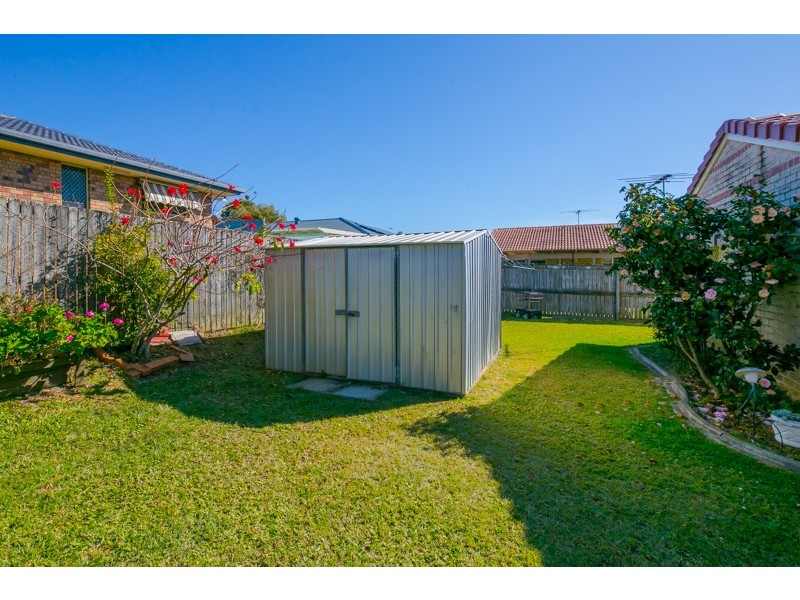 3 Pecan Court, Birkdale QLD 4159