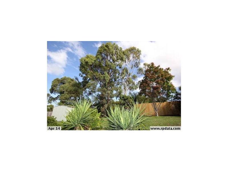 6 Cherry Street, Wellington Point QLD 4160