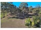 1B Rachow Street, Thornlands QLD 4164