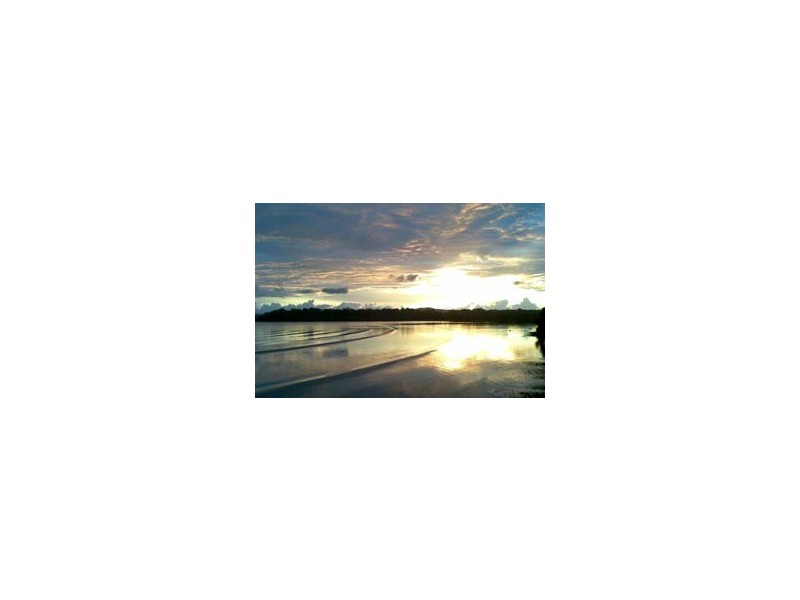 23 Callistemon Street, Russell Island QLD 4184