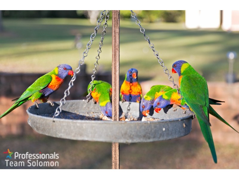 17 Mahogany Street, Capalaba QLD 4157