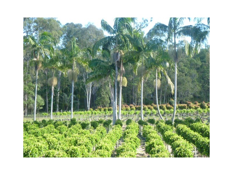 1685 Mt Cotton Rd, Mount Cotton QLD 4165