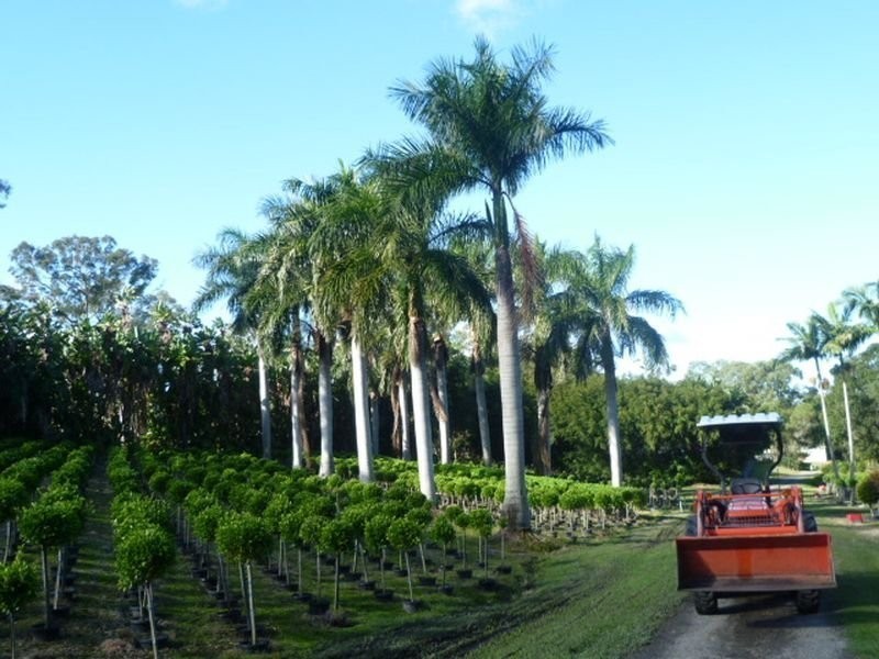 1685 Mt Cotton Rd, Mount Cotton QLD 4165