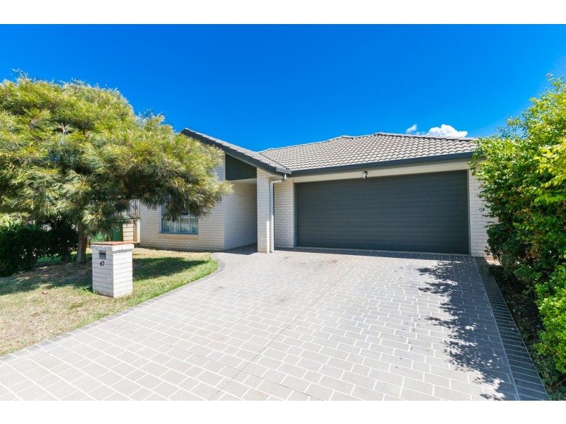 47 MacFarlan Street, Birkdale QLD 4159