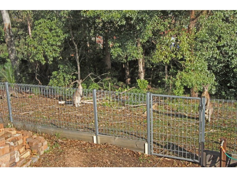 42 Calga Crescent, Catalina NSW 2536