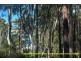 Lot 54 Sandy Place, Long Beach NSW 2536