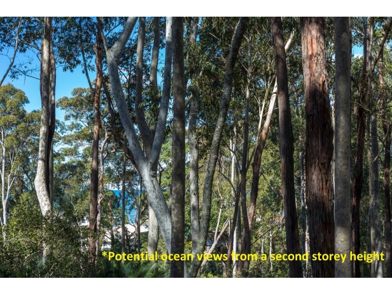 Lot 54 Sandy Place, Long Beach NSW 2536