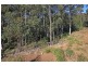 Tallwood Woodlot Place, Batehaven NSW 2536