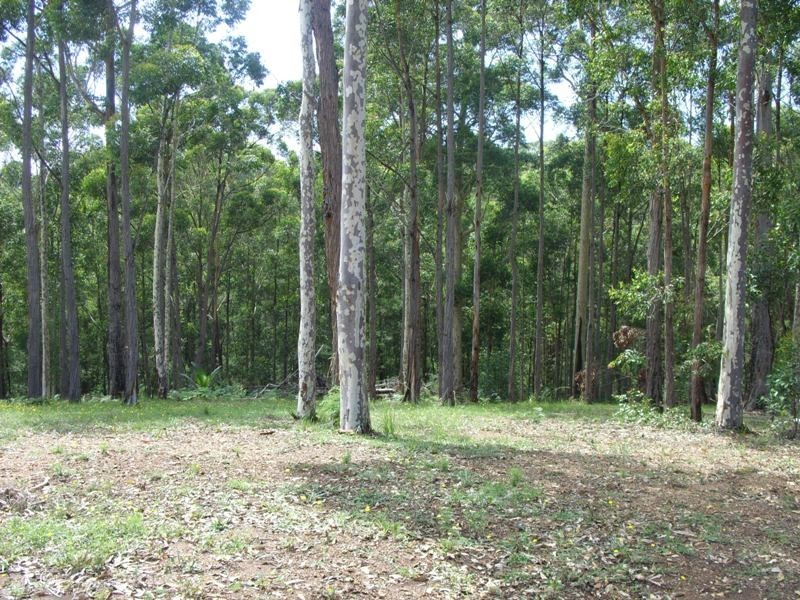 Tallwood Woodlot Place, Batehaven NSW 2536