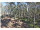 Tallwood Woodlot Place, Batehaven NSW 2536