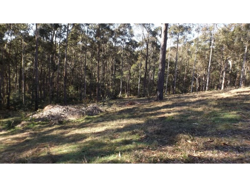 8 Woodlot Place, Batehaven NSW 2536
