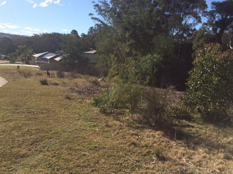 29 Courtenay Crescent, Long Beach NSW 2536