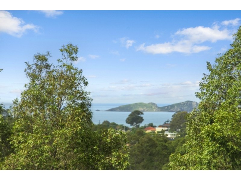 117 Vista Avenue, Catalina NSW 2536