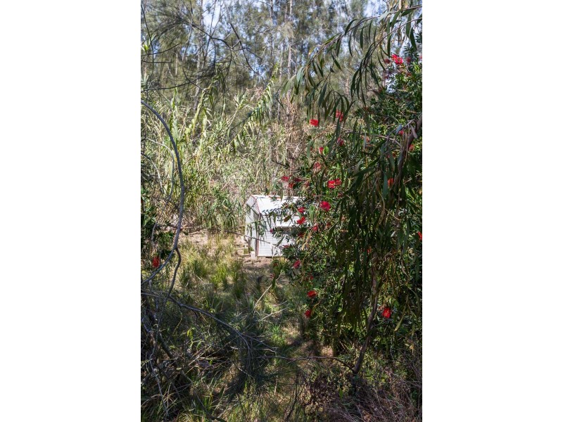 19 Munjeroo Lane, Bingie NSW 2537