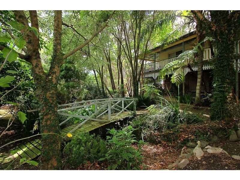 4 Tallwood Crescent, Rosedale NSW 2536