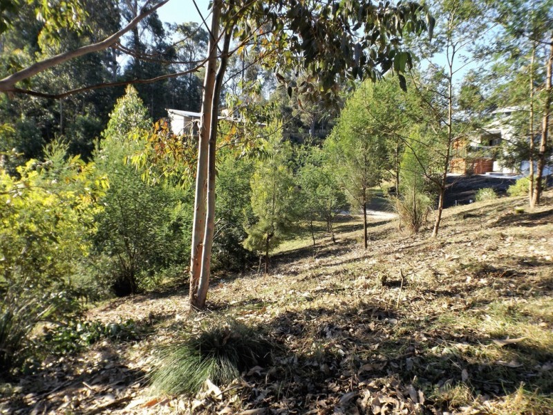 135 Litchfield Crescent, Long Beach NSW 2536