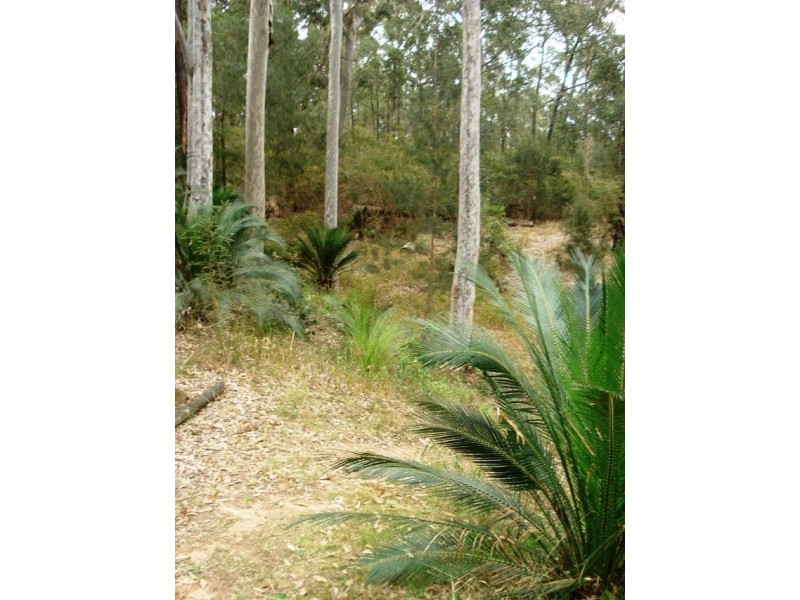 22 Elouera Close, Lilli Pilli NSW 2536