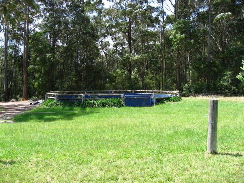 1/58 Ivy Place, Malua Bay NSW 2536