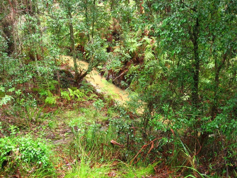 1/58 Ivy Place, Malua Bay NSW 2536