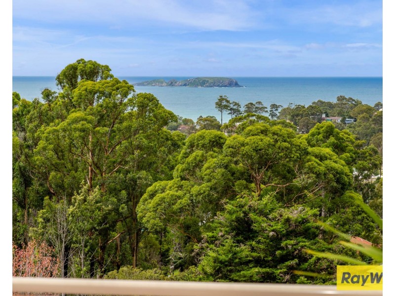 6 Figtree Close, Surf Beach NSW 2536