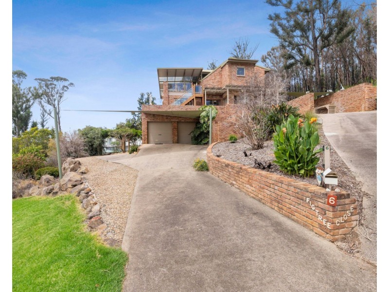 6 Figtree Close, Surf Beach NSW 2536