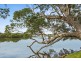 245 Annetts Parade, Mossy Point NSW 2537