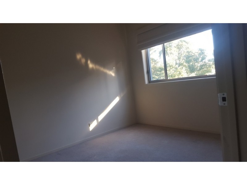 16 Calga Crescent, Catalina NSW 2536