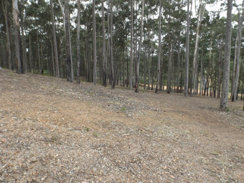 Lot 18 Worthy Drive, Malua Bay NSW 2536