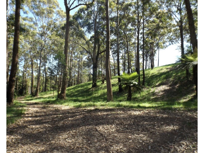 Lot 16 Worthy Drive, Malua Bay NSW 2536