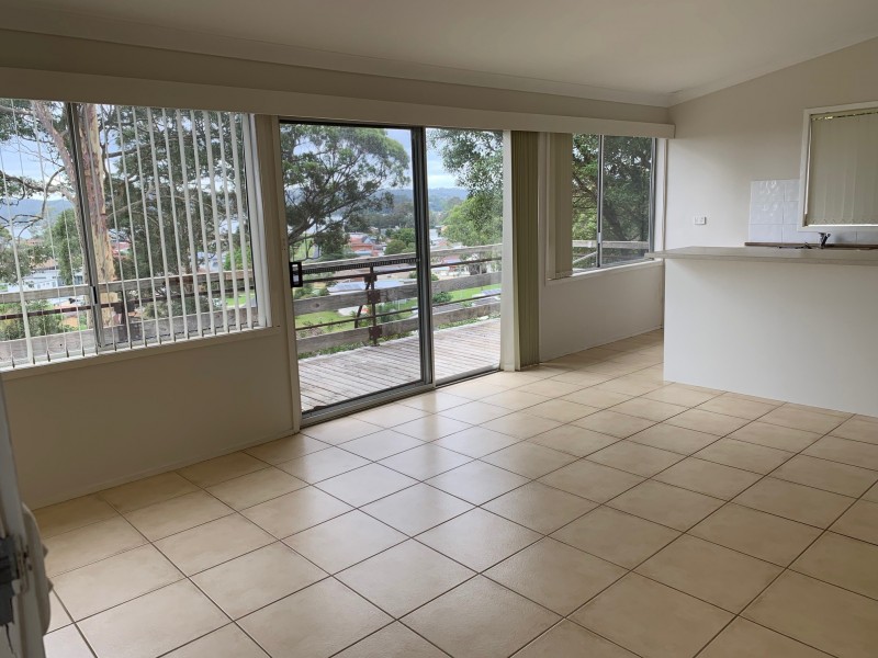 111 Palana Street, Surfside NSW 2536