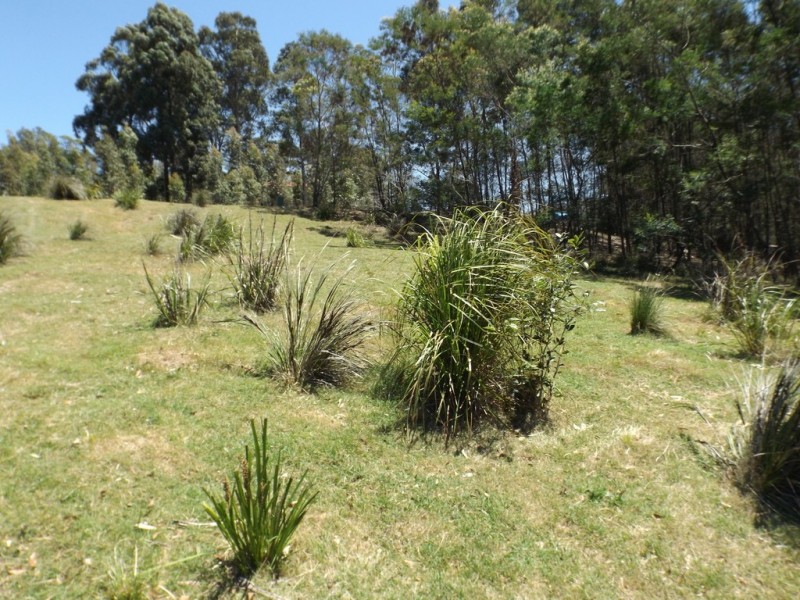 20 Clarence Street, Long Beach NSW 2536