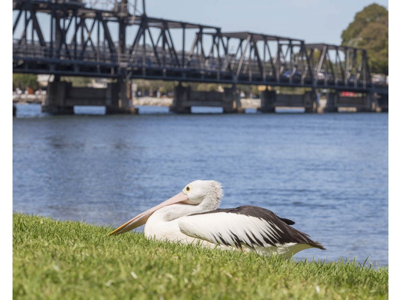 4/4A Orient Street, Batemans Bay NSW 2536