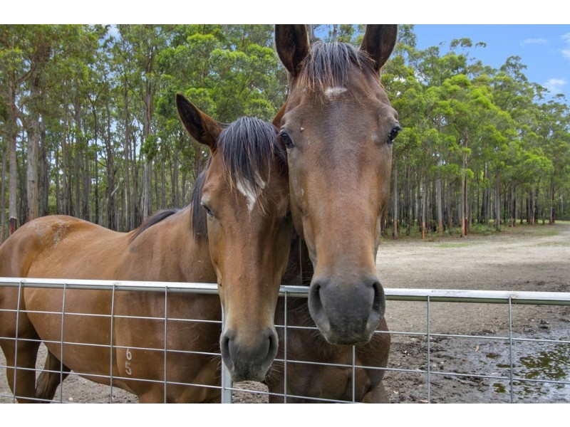 112 Goldfields Drive, Jeremadra NSW 2536