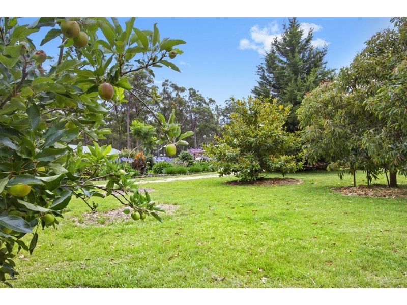 112 Goldfields Drive, Jeremadra NSW 2536