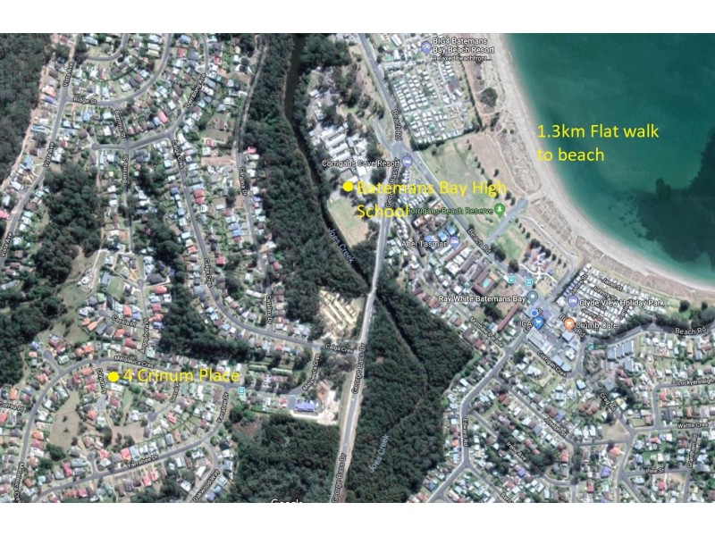 4 Crinum Place, Catalina NSW 2536