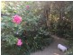 12 Candlagan Drive, Broulee NSW 2537