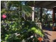 12 Candlagan Drive, Broulee NSW 2537
