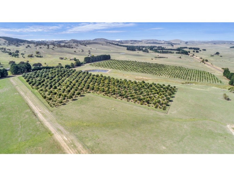 173 Willandra Lane, Bungendore NSW 2621