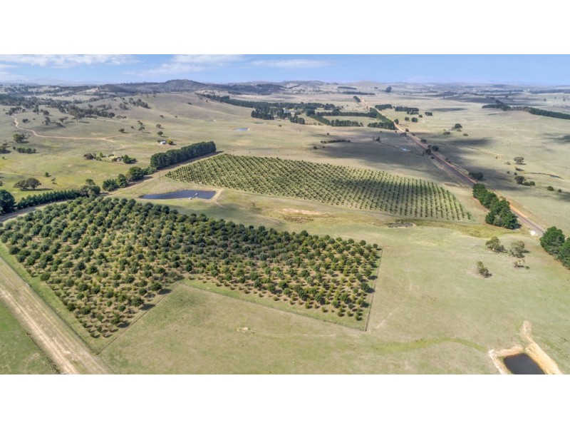 173 Willandra Lane, Bungendore NSW 2621