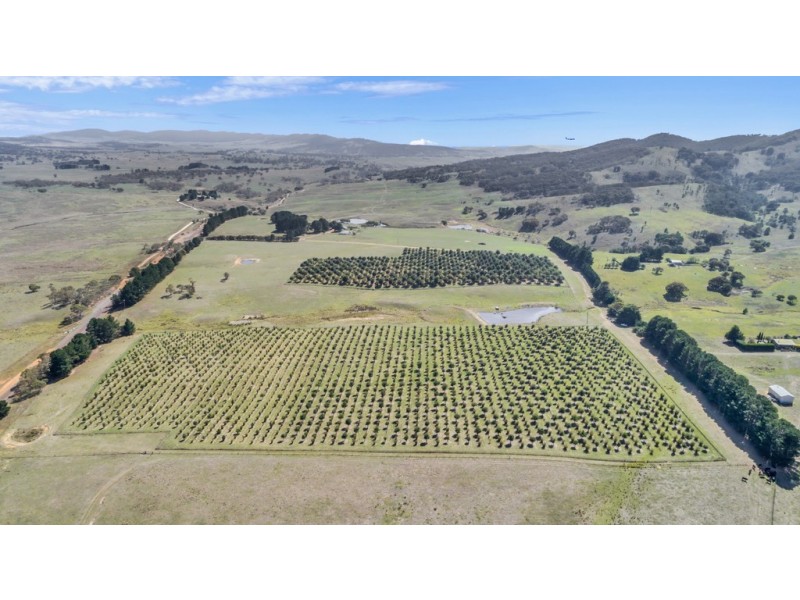 173 Willandra Lane, Bungendore NSW 2621