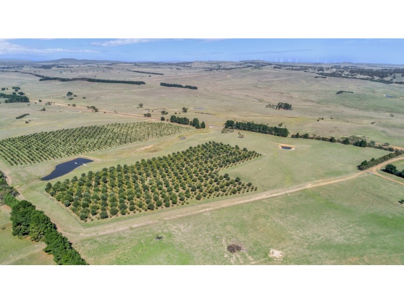 173 Willandra Lane, Bungendore NSW 2621