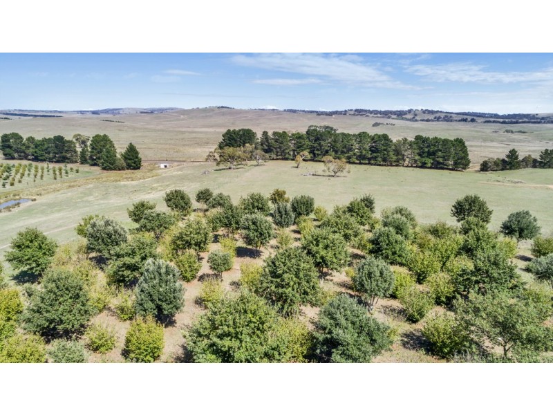 173 Willandra Lane, Bungendore NSW 2621