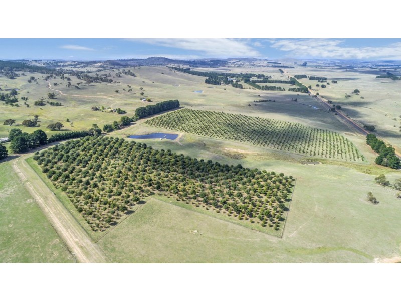 173 Willandra Lane, Bungendore NSW 2621