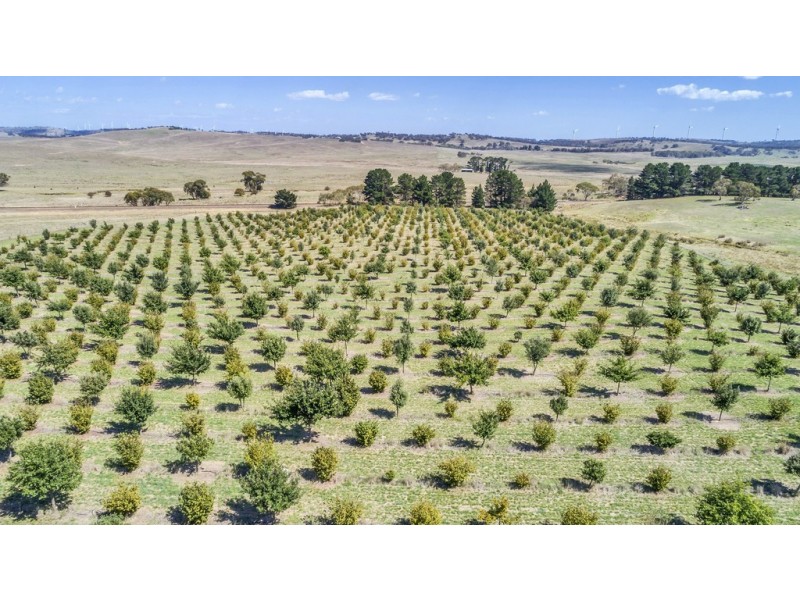 173 Willandra Lane, Bungendore NSW 2621