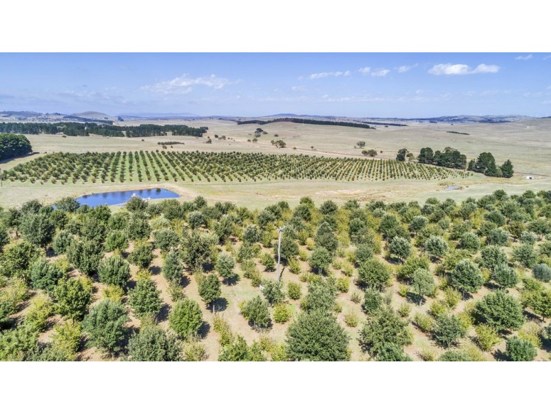 173 Willandra Lane, Bungendore NSW 2621