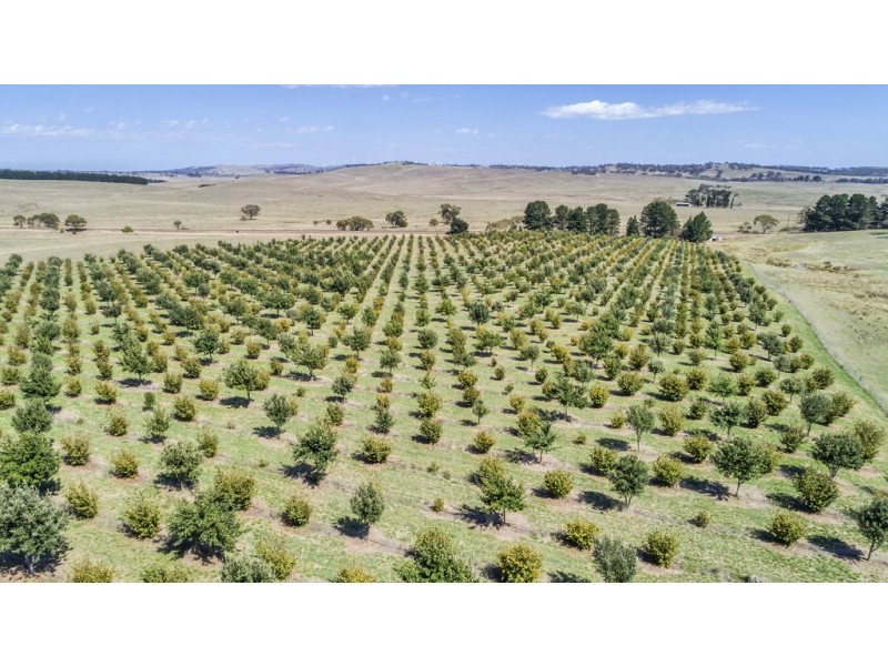 173 Willandra Lane, Bungendore NSW 2621